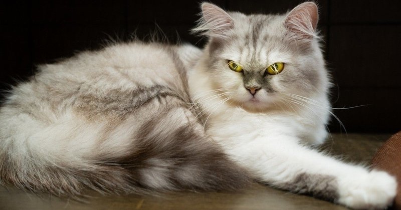 希望退職制度では 本当に 優秀な人 からいなくなるか nakagaki note