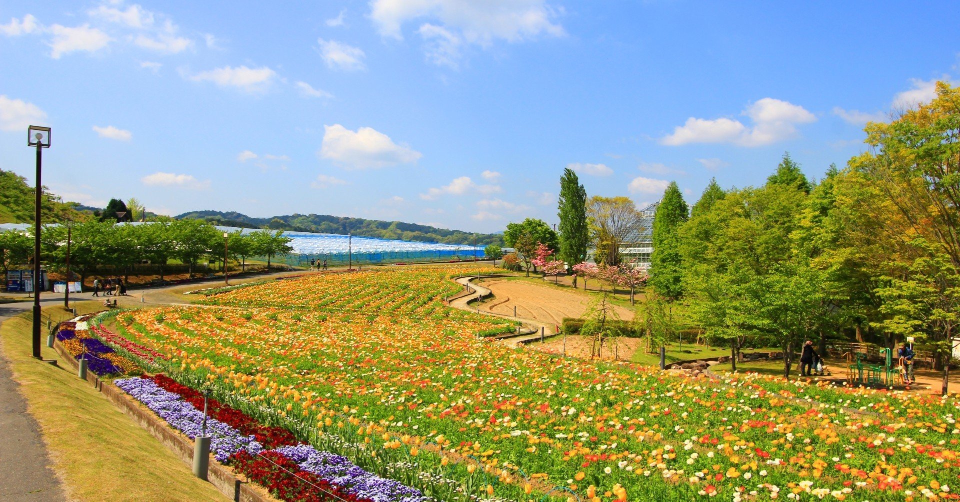 四季の彩り 旬の実りを楽しめる農業公園サバーファームの話 富田林市公式note 四季の彩り 旬の実りを楽しめる農業公園サバーファームの話 富田林市公式note