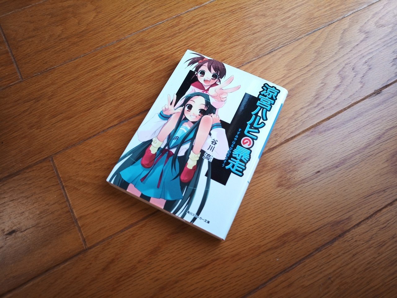 読書 涼宮ハルヒの暴走 シリーズ5 501kobayashi Note