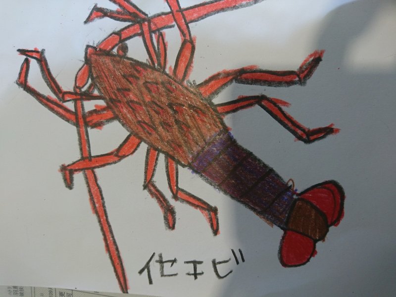 紙粘土のヘビ イセエビの標本 12歳 かめのめーめ Note
