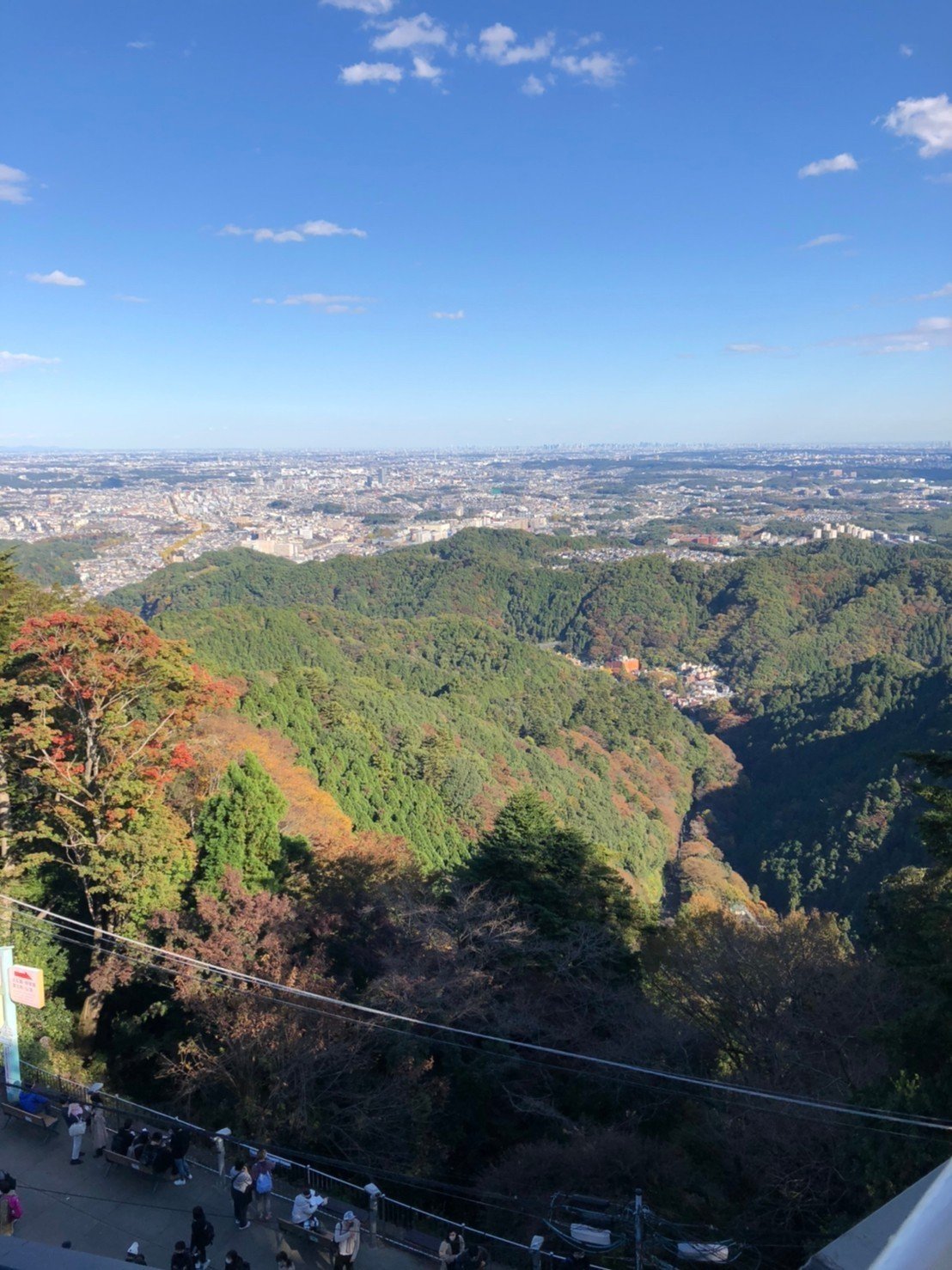 高尾山20201110_201111_3