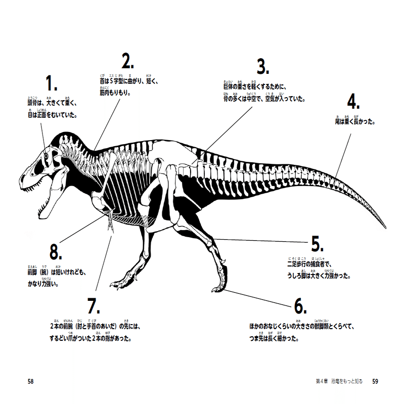 きょうりゅうのなまえ 恐竜の名前を覚えよう クイズもあるよ フラッシュカード 緑と白の怒っている恐竜動物のスポットサウンドマスコット鋭い歯 動物のマスコット マスコット 想像上の動物のマスコット マスコットの恐竜 Ciudaddelmaizslp Gob Mx