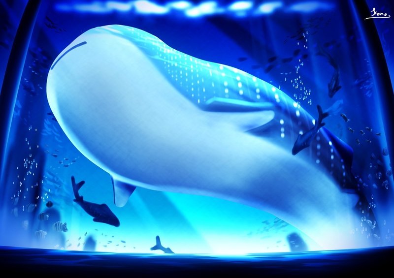背景ワンドロ 水族館の描き方 背景イラスト配布中 コノハ Note