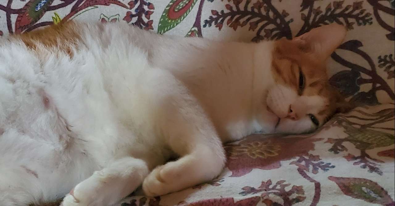 自分の中にある承認欲求 自己顕示欲を直視するというチャレンジ 恭子 やすこ Note