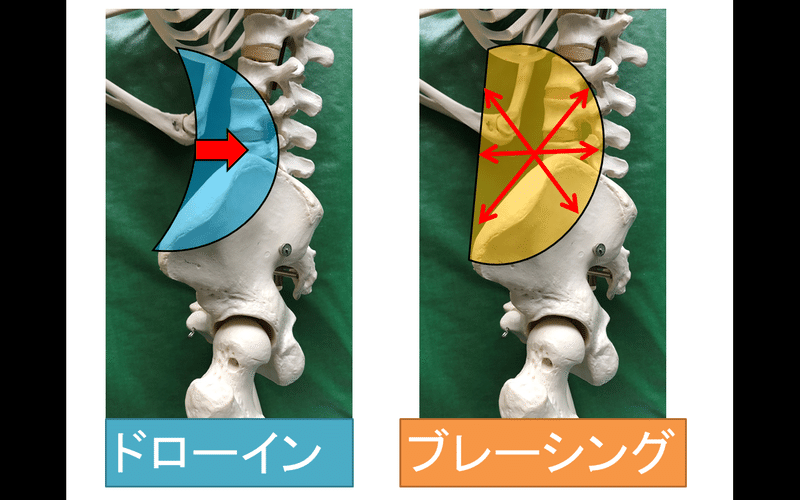 ドローインとブレーシング