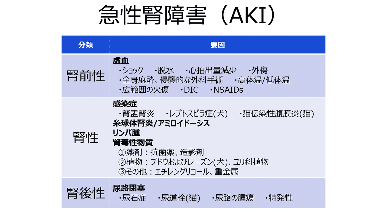 サクッと学ぼう~AKI~|VNKC|note