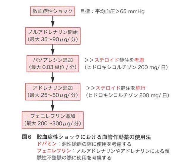 敗血症性ショックにおけるノルアドレナリンとバソプレシンの投与量 踊る救急医 Note