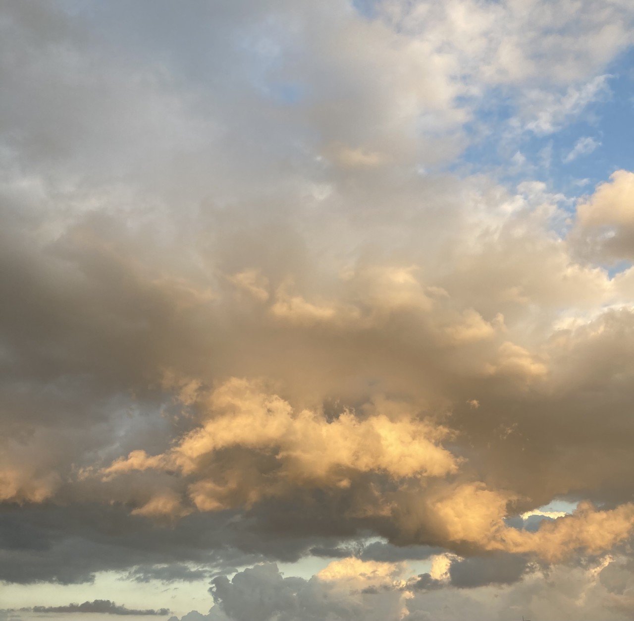 トウモロコシ Corn の花言葉は 財宝 花を見たことがある気がしない ちなみに 英語で Acknowledge The Corn は 誤りを認める 失敗を認める という意味 みから 未絡 Micara Note