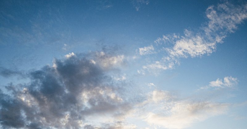 仕事が楽しすぎて最高の職場を辞めることになった話 にうむ Note