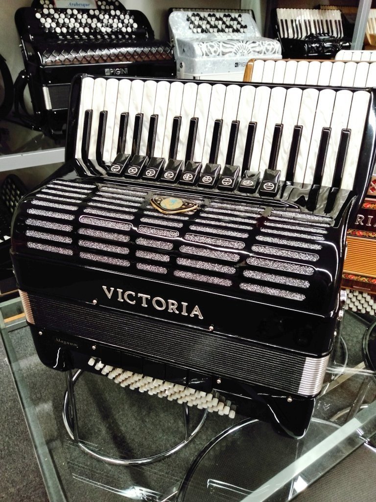 新品】VICTORIA [A130V]黒｜アコーディオン横丁