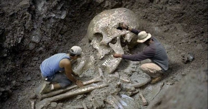 ネピリム の新着タグ記事一覧 Note つくる つながる とどける