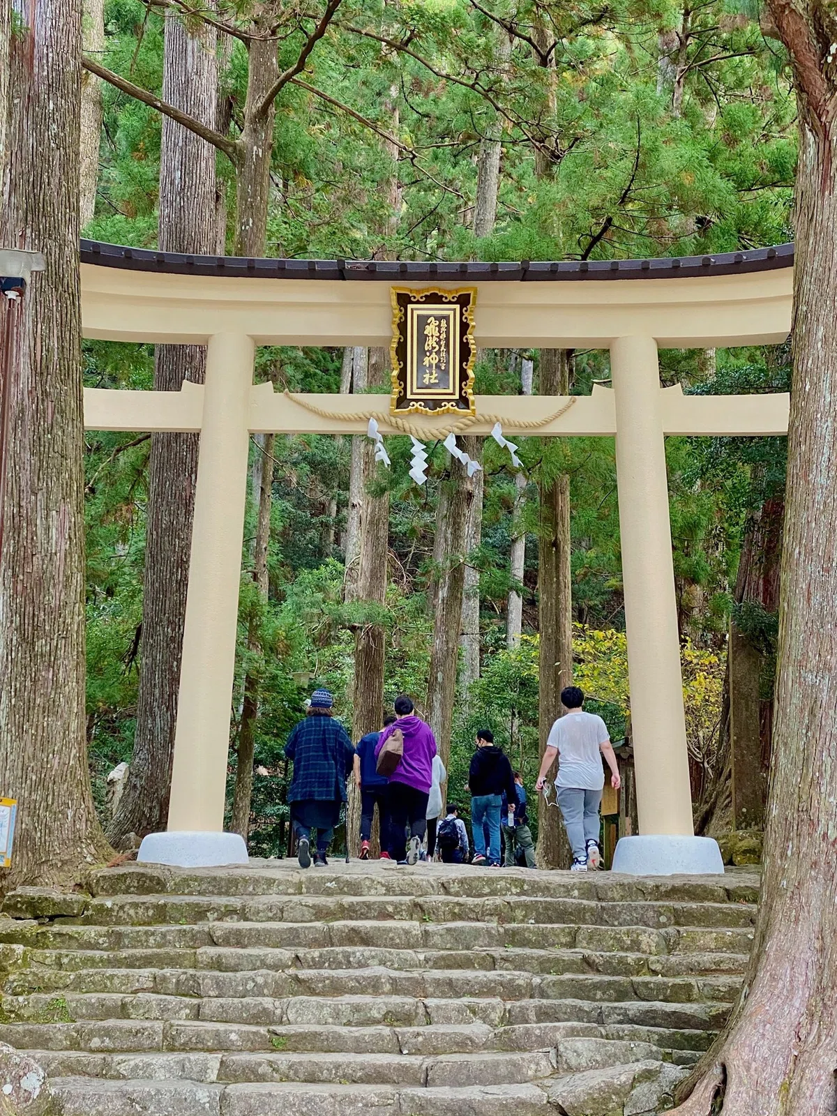 画像7