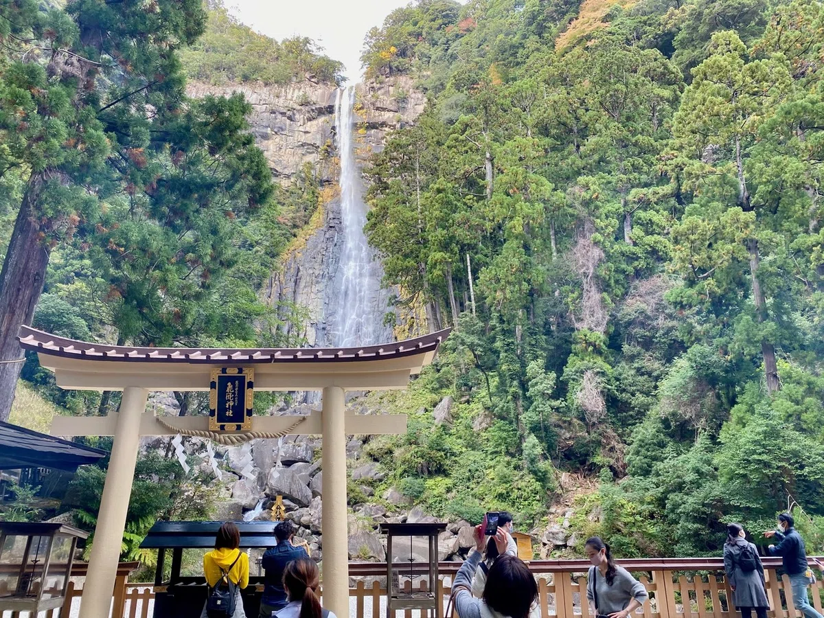 画像8
