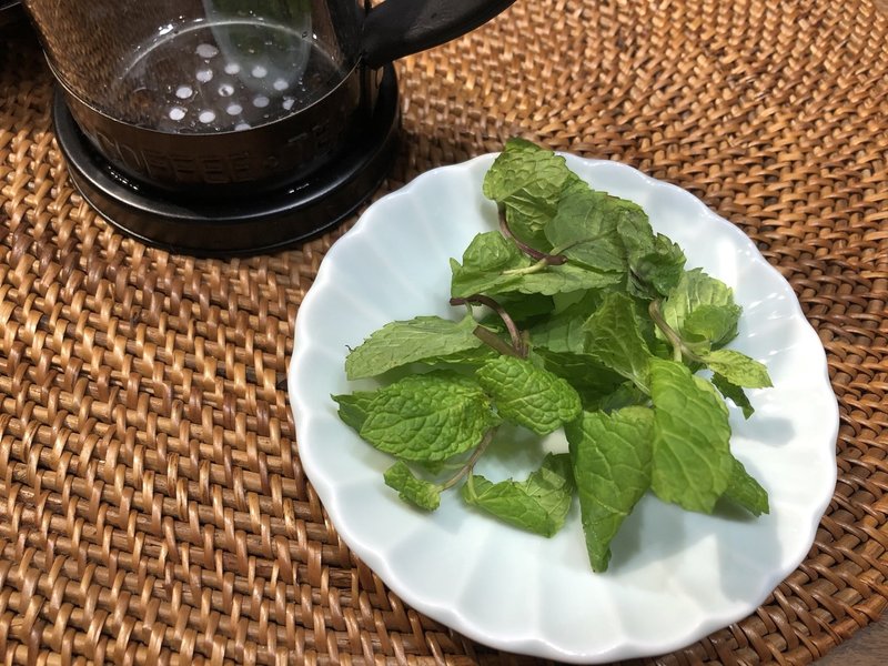 ミントティーを淹れてみた Afuken Cafeの部屋 Note ミントティーを淹れてみた Afuken Cafeの部屋 Note