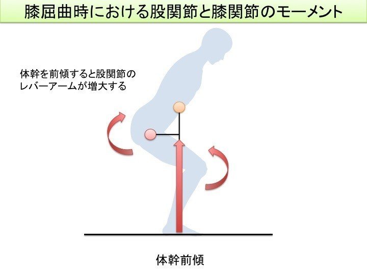 股関節 膝関節モーメント 白須達也 Tatsuya Shirasu 理学療法士 アスレティックトレーナー Note