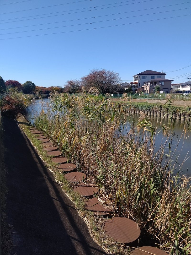 東京 都 足立 区 天気 足立区の1時間天気 Amp Petmd Com