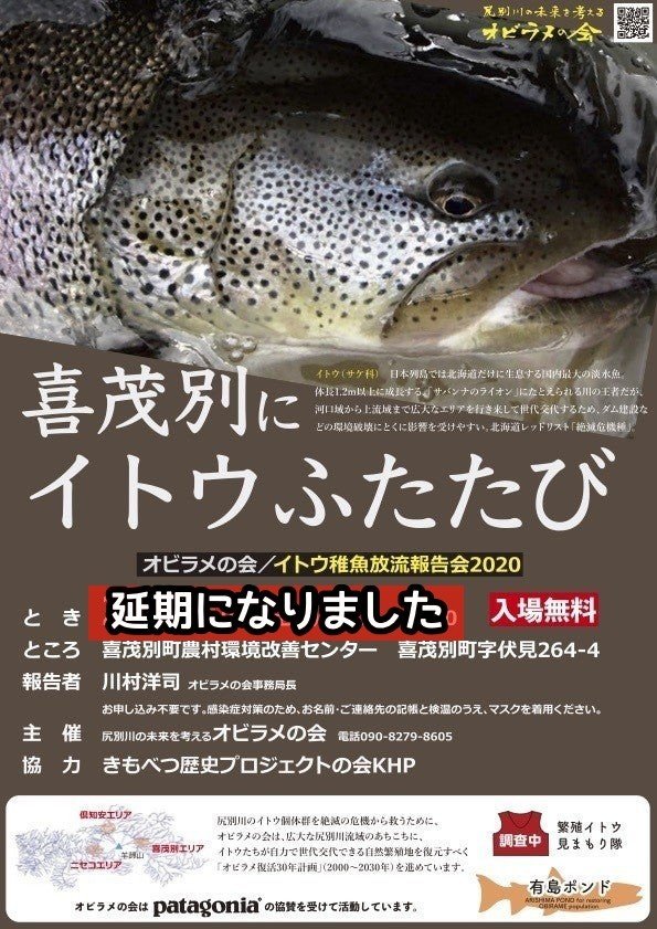 14日のイトウ稚魚放流報告会は延期に 北海道魚類映画社 Note