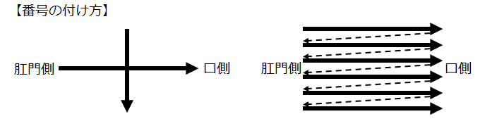 画像12