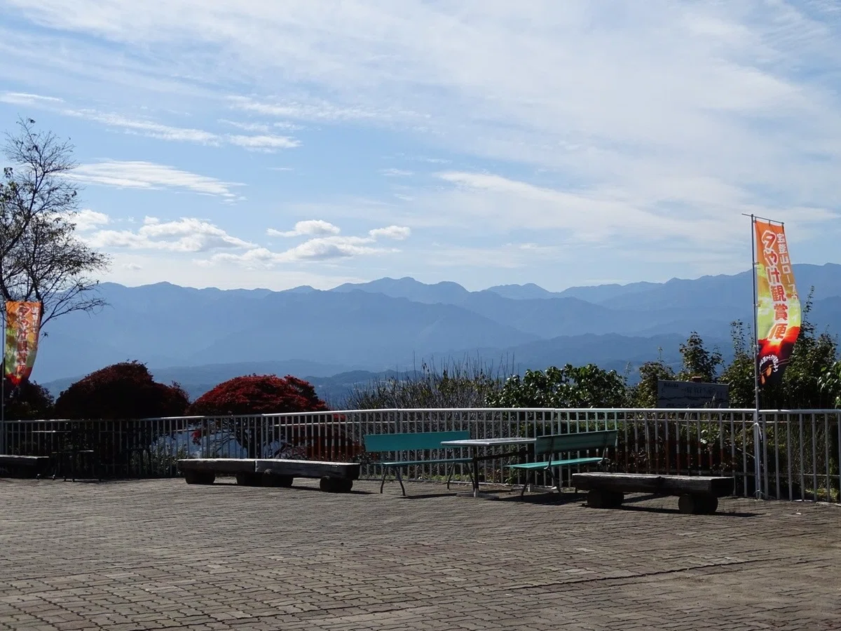 画像9