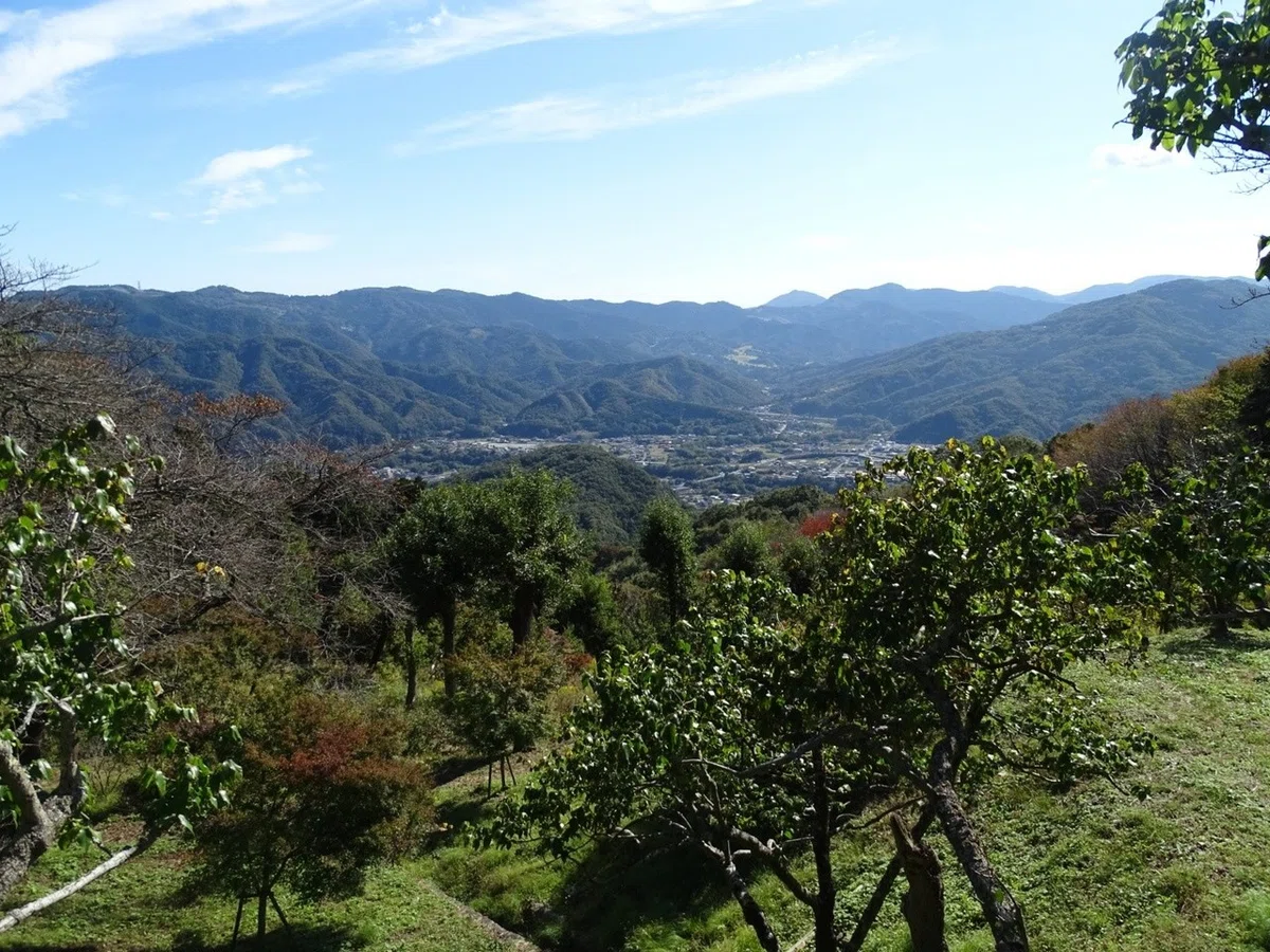 画像10