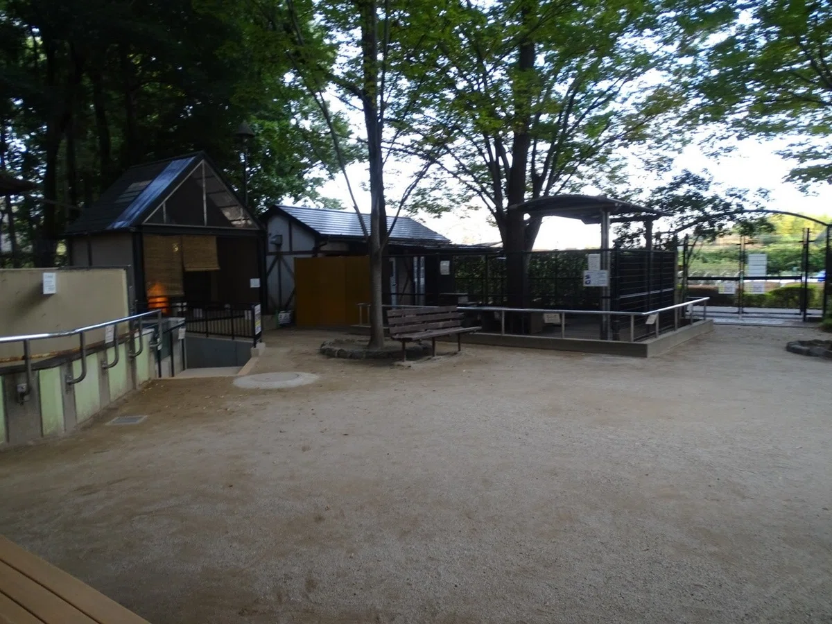 画像11