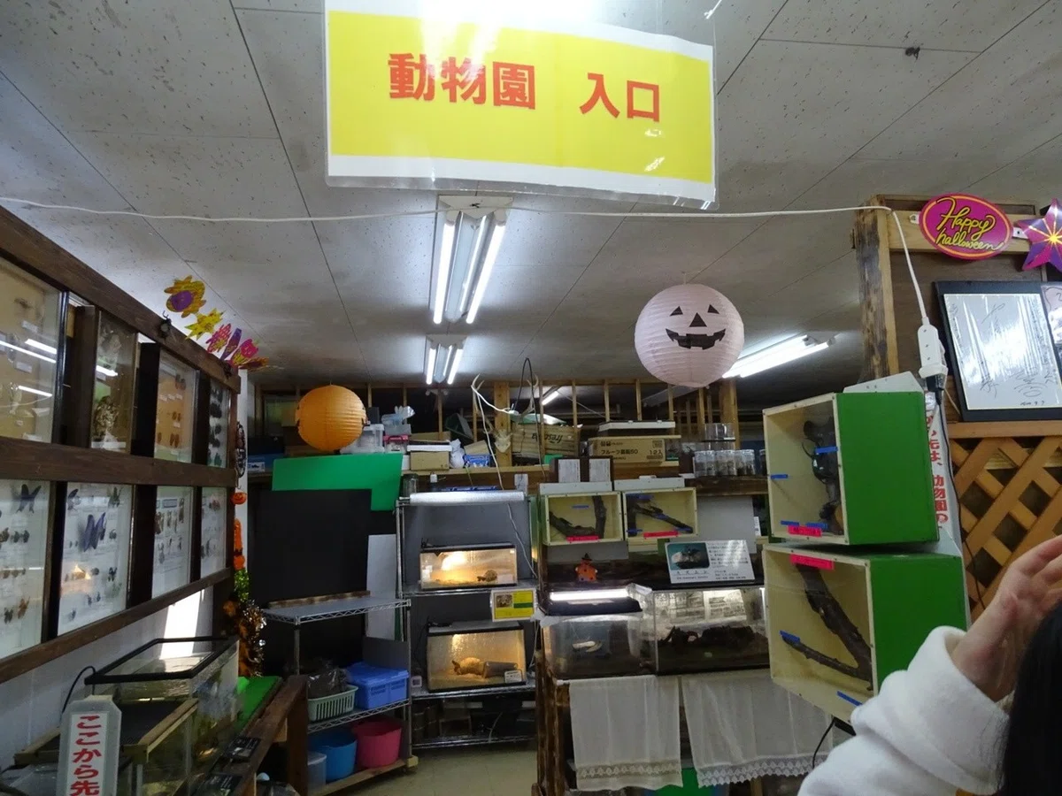画像13
