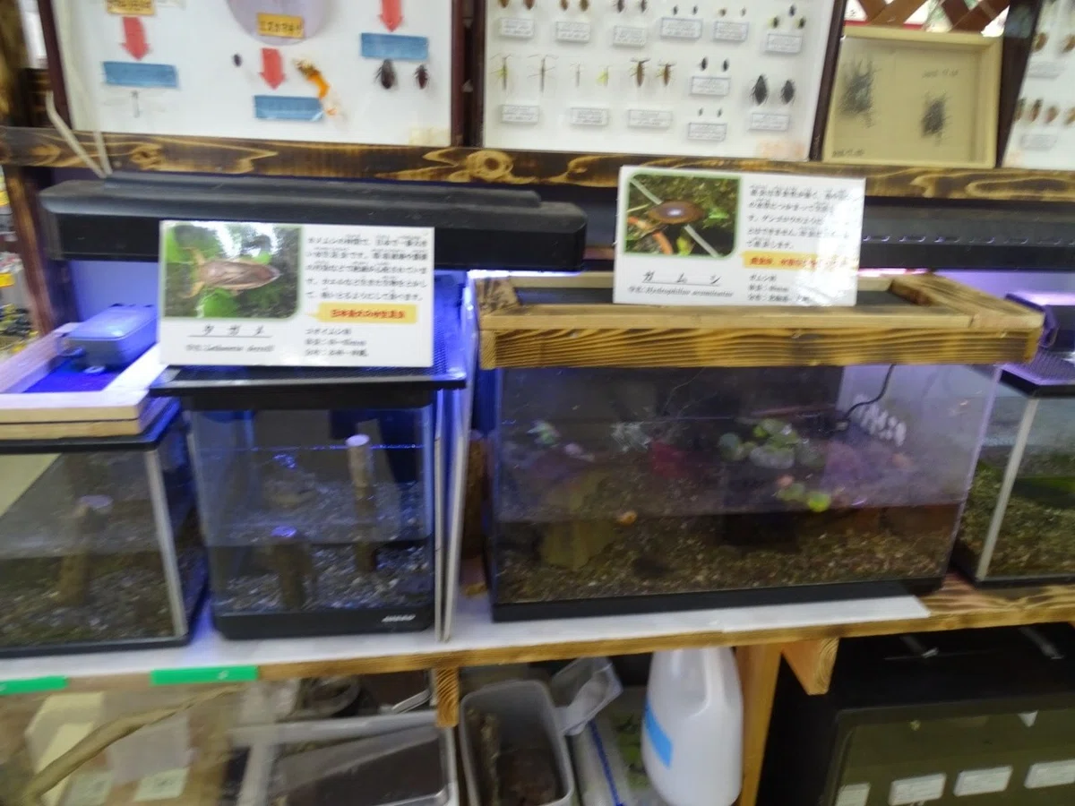 画像14