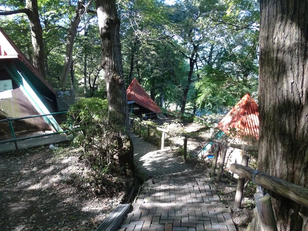 画像16