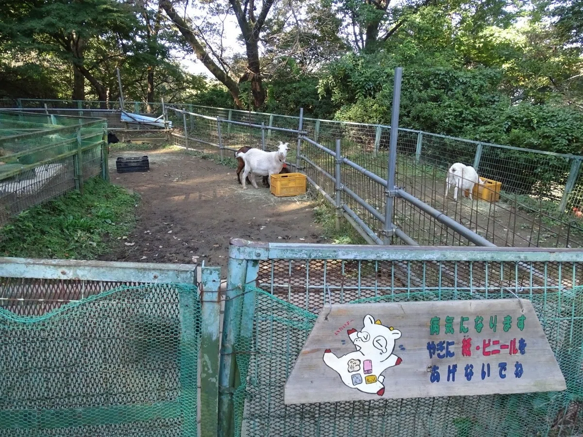 画像18