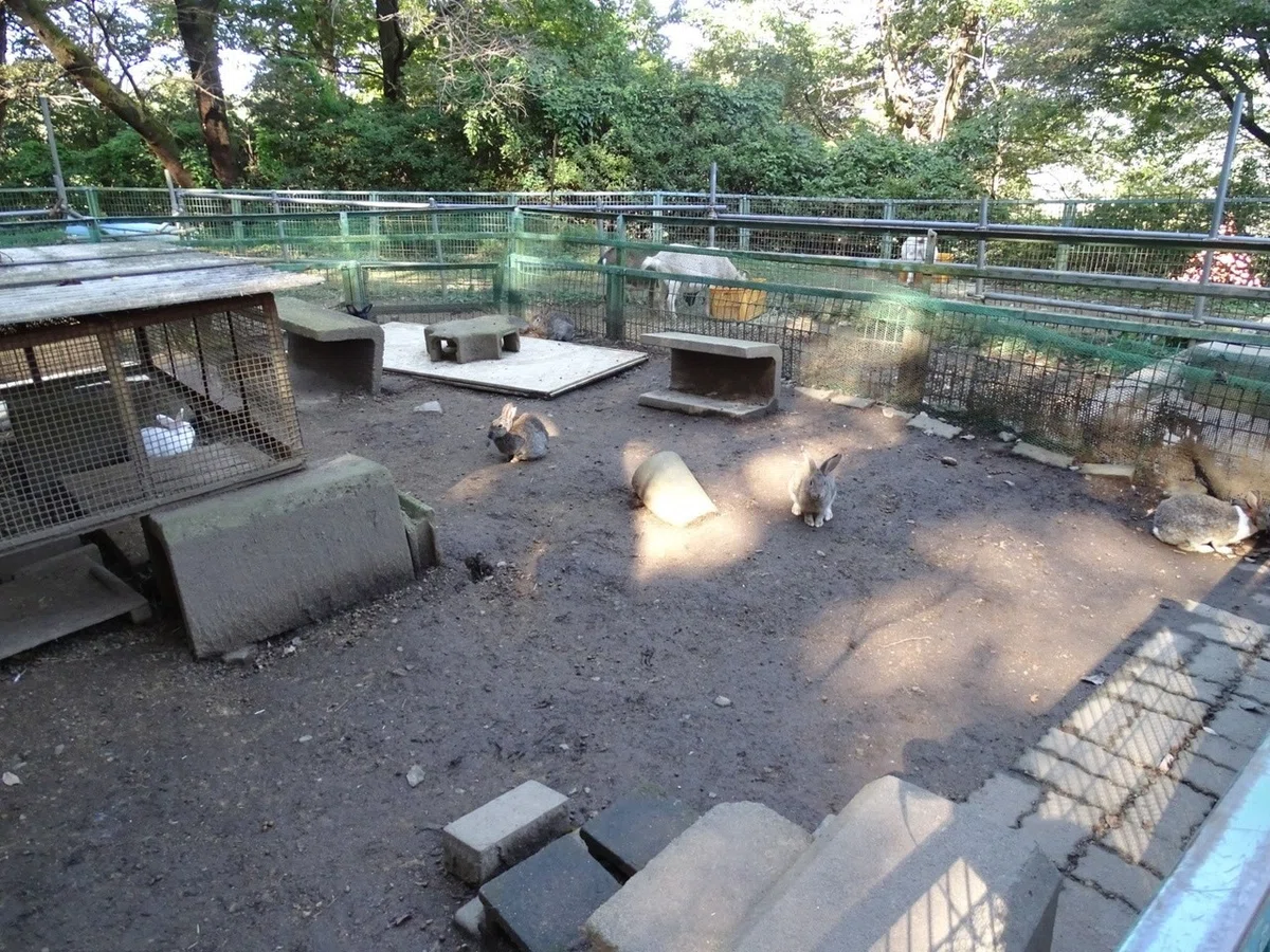 画像26