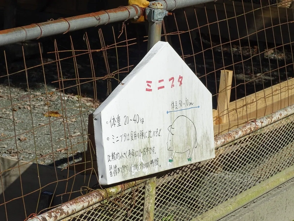画像28