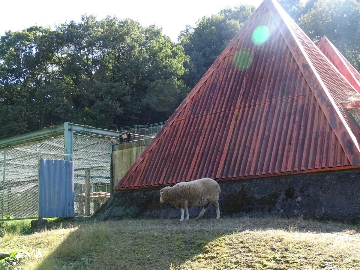 画像32