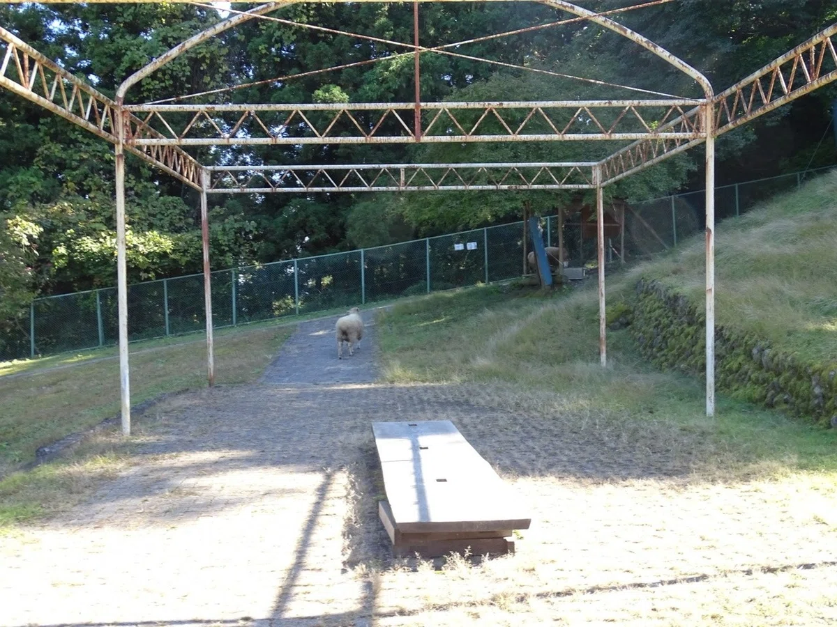 画像35