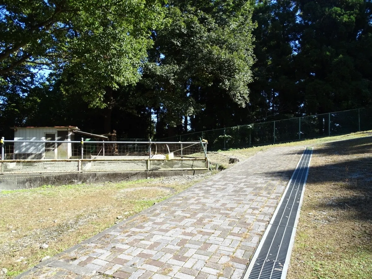 画像34