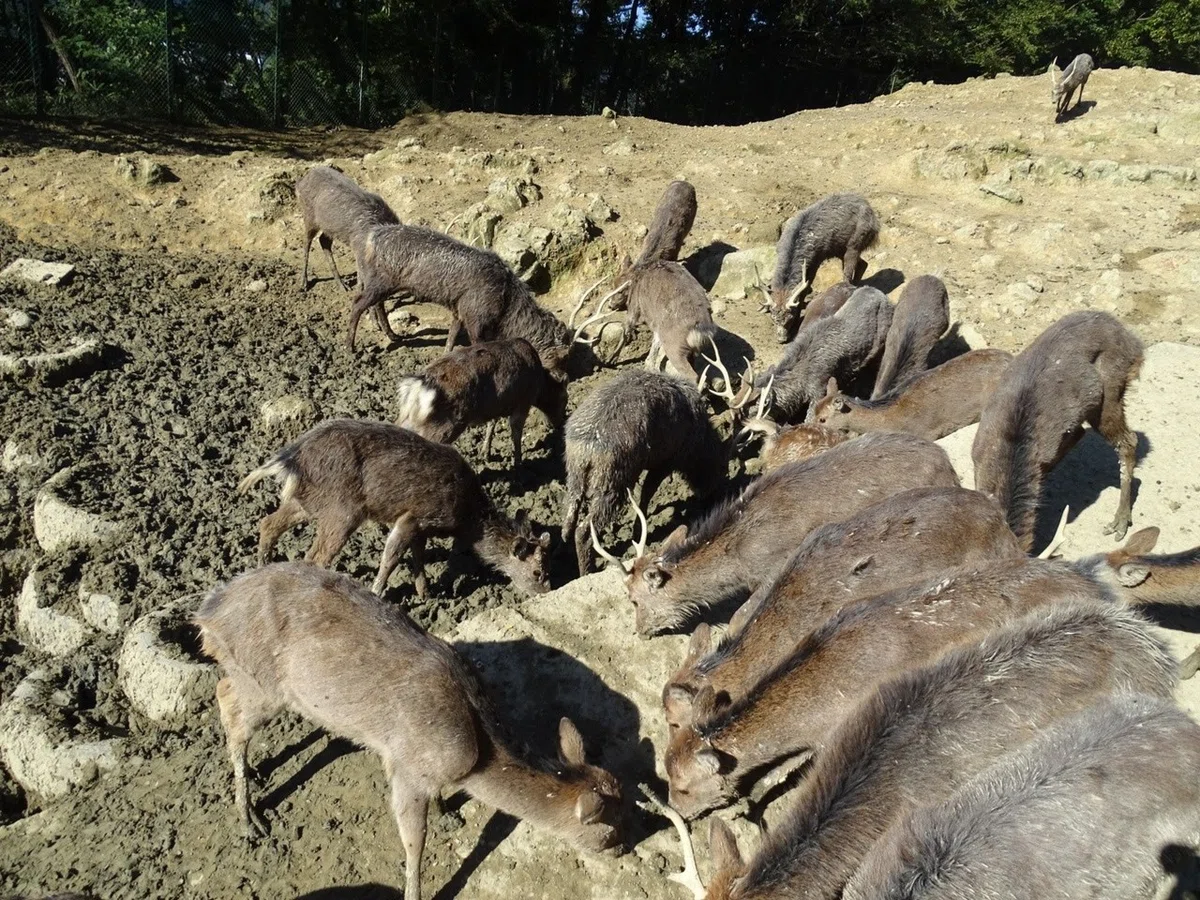 画像36