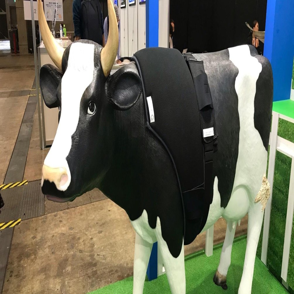 動物もスマート衣料を着る時代！「COCOMI®」を使用した牛用スマートテキスタイルとは？｜fashion tech news