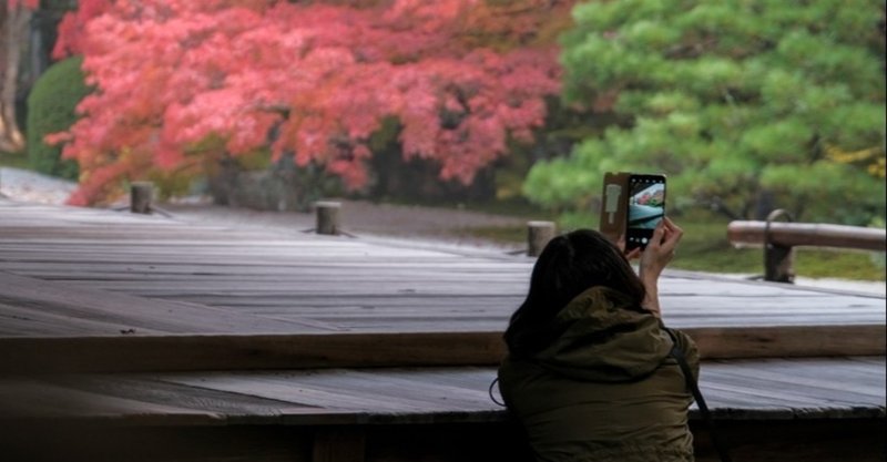 秋の京都ひとり旅 見頃前の紅葉 赤と緑の共演が素敵 おひとりさまnote Note