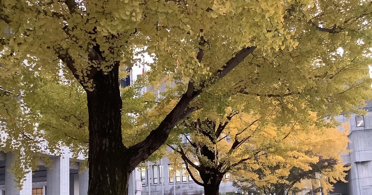 少女時代 企画のスタート138 すわっち日記 Note 少女時代 企画のスタート138 すわっち日記 Note