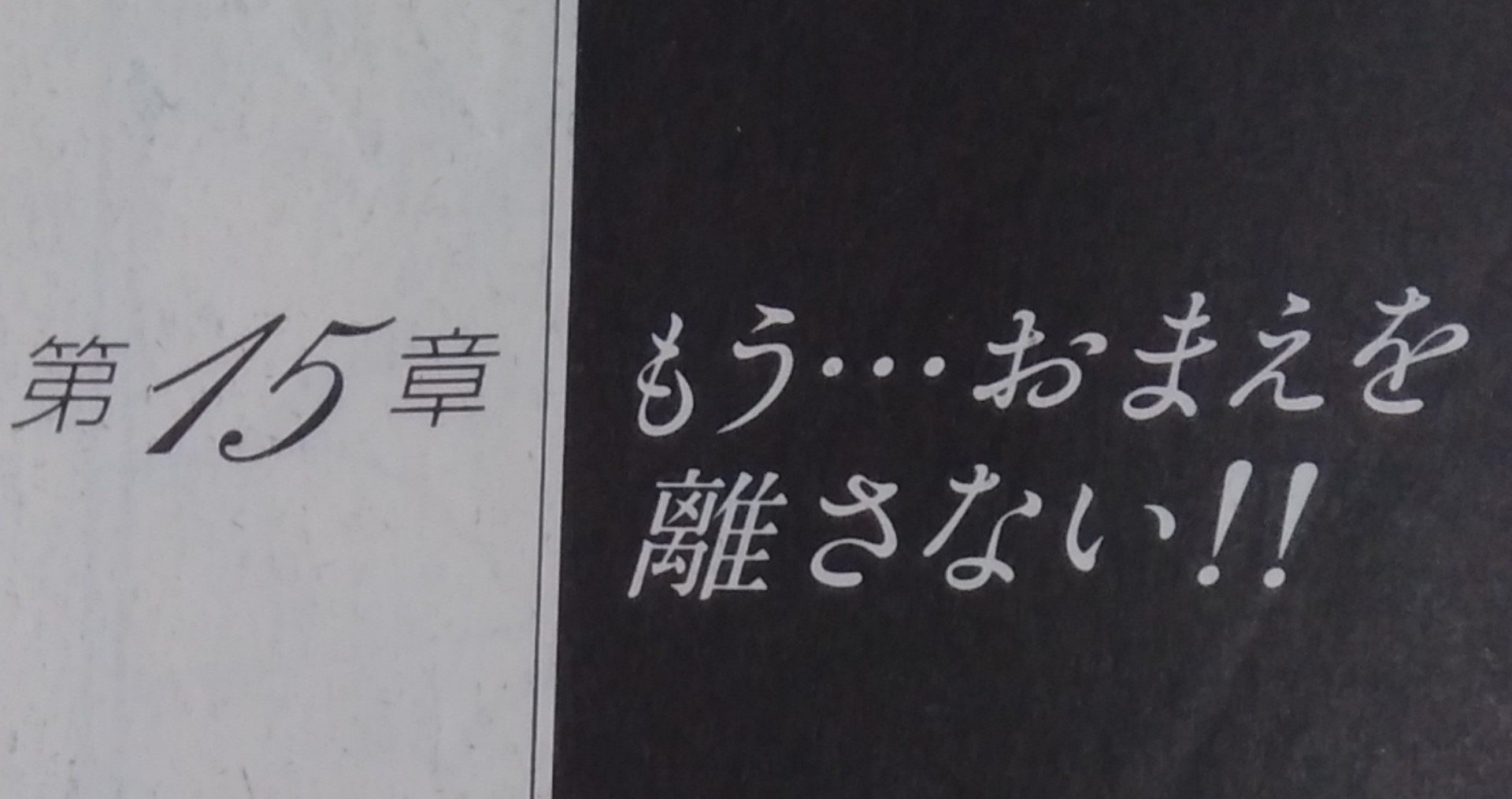 漫画メモ オルフェウスの窓 15 池田理代子 しらうめ Note