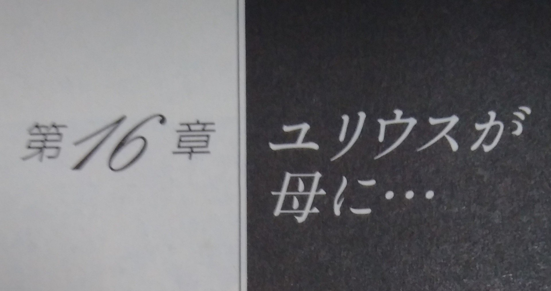 漫画メモ オルフェウスの窓 16 池田理代子 しらうめ Note 漫画メモ オルフェウスの窓 16 池田理代子 しらうめ Note