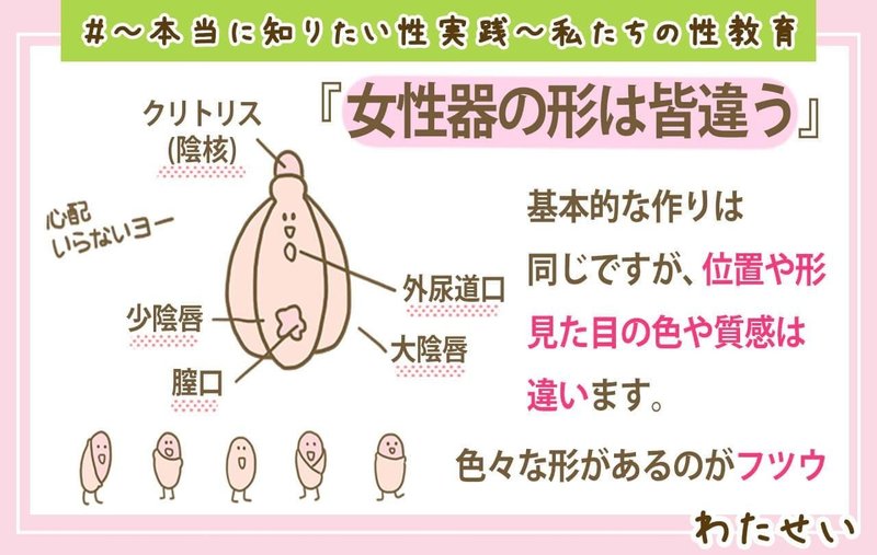 知っているようで良く知らない 女性器 のすべて 医師が詳しく解説 医師監修 本当に知りたい性実践 私たちの性教育 Note