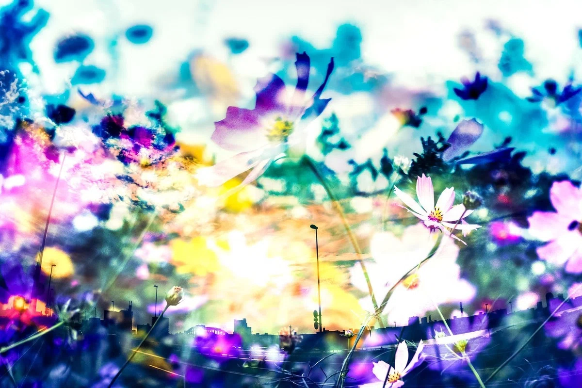 画像9