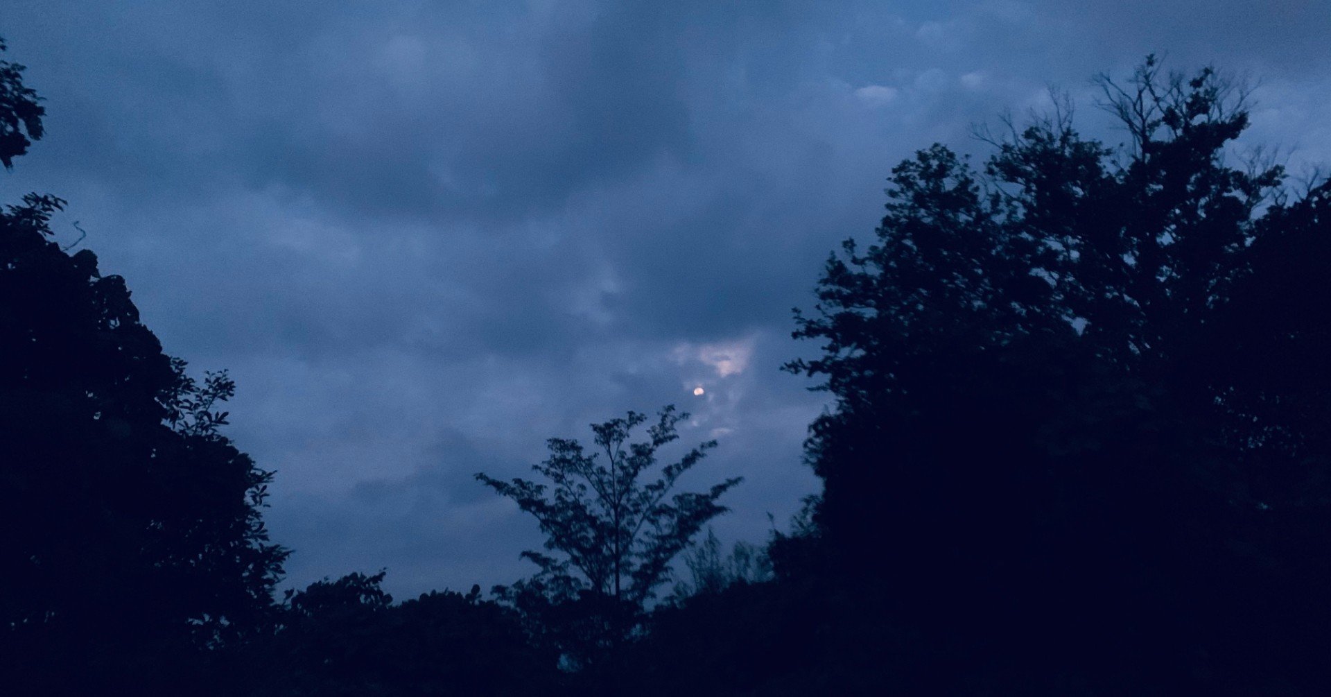 嫉妬とは 憧れでなく 寂しさである りょん Note