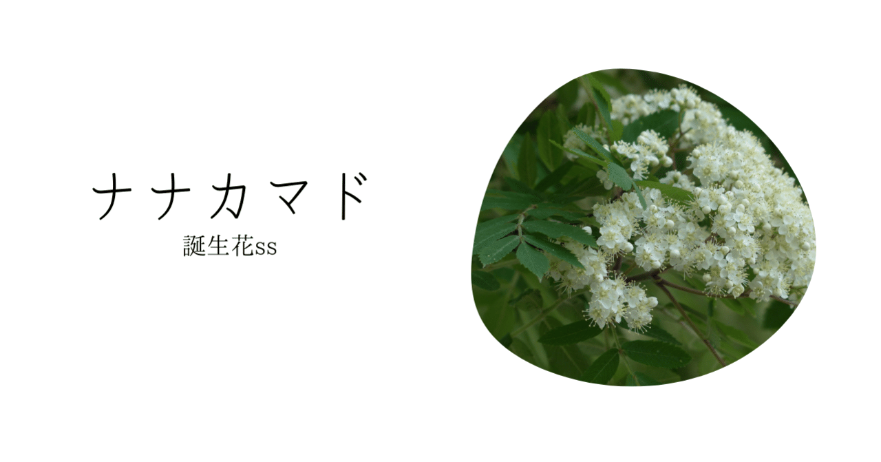 ナナカマド 誕生花ss てい Note