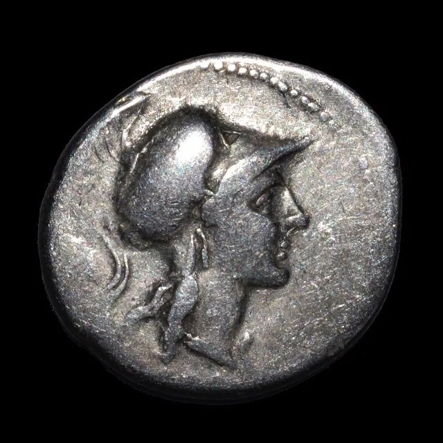 アンティークコインの世界 〜厳選古代ローマコイン〜｜Shelk🦋🗝️