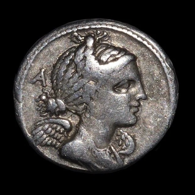 アンティークコインの世界 〜厳選古代ローマコイン〜｜Shelk🦋🗝️