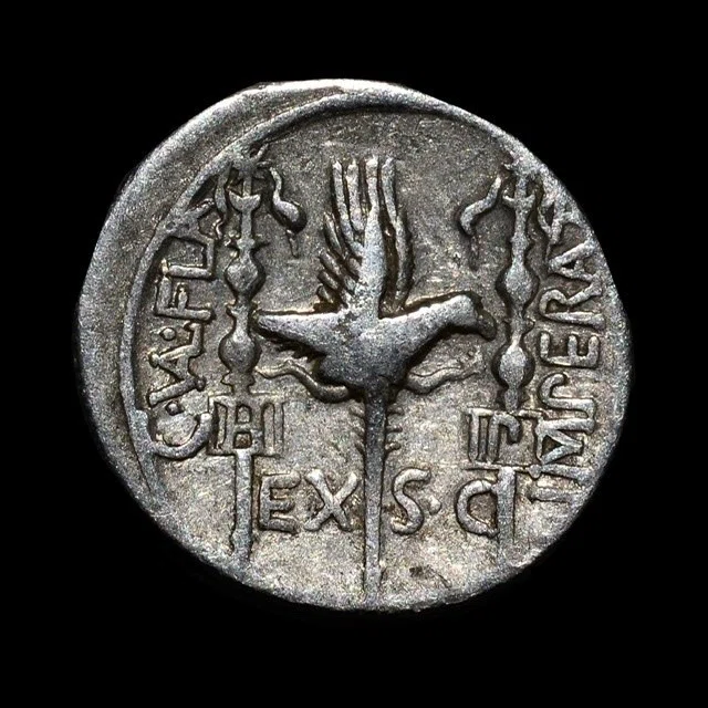 アンティークコインの世界 〜厳選古代ローマコイン〜｜Shelk🦋🗝️
