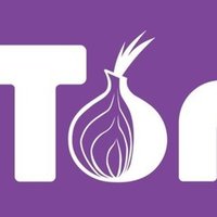 Tor browser настройка utorrent браузер тор для винды попасть на гидру