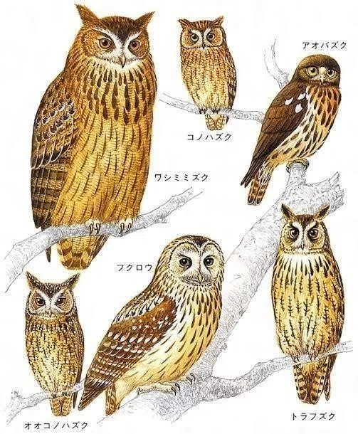 活動歴および当時の関連ビジュアル記録
