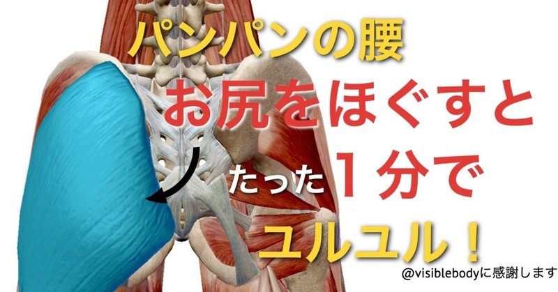 腰痛ケア パンパンに張った腰がたった1分でユルユルに 効果抜群の筋 膜ケア お尻の筋肉編 Vol 3 長崎の腰痛専門施術院 リセット 公式ブログ Note 腰痛ケア パンパンに張った腰がたった1分でユルユルに 効果抜群の筋 膜ケア お尻の筋肉編 Vol 3 長崎の腰痛専門施術院 リセット 公式ブログ Note